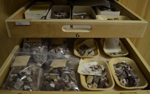 Artifacts recorded and stored in the Nova Scotia Museum of Natural History archeology collection. 