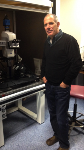 Alon Friedman in his lab at Dalhousie
