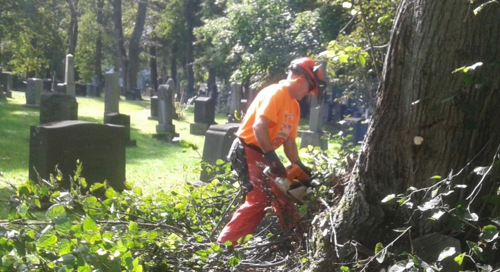 Parks and Recreation worker tidies tree branches in Camp Hill Cemetery. 