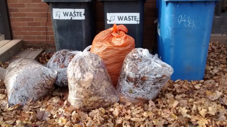 Haligonians will be filling plastic bags with leaves as they prepare for winter