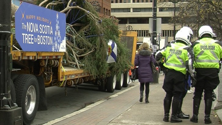 The white spruce tree for Boston is 49 feet tall and 72 years old.