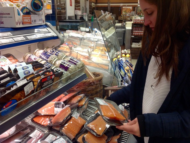 Ecological groups worry that without sufficient public notice and adequate assessment, genetically-modified salmon could end up in Canadian supermarkets.