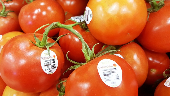 Tomatoes are a seasonal fruit and most abundant during the spring and summer months.