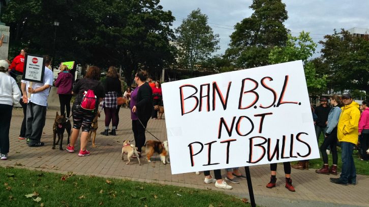 Pit bull supporters gather in Cornwallis Park on Saturday