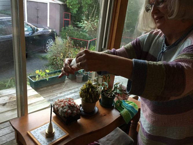 Corrie Watt spins her yarn at her home in Halifax.