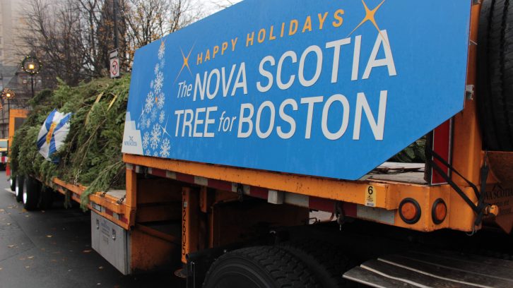 The annual Tree for Boston stopped in Halifax before the next leg of it's journey to Boston. 