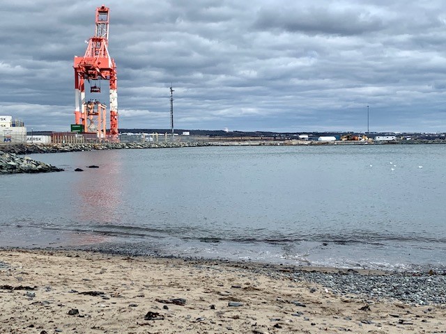 A shot of the Black Rock Beach at Point Pleasant Park, Halifax, NS.