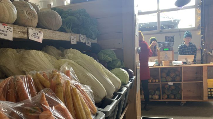 On the left-hand side of the image, we can see a shelf and green bins full of surplus vegetables inside the Warehouse Market. On the shelf are rows of squash, broccoli and kale, and in the bins are bundles of yellow and orange carrots, cabbage, and lettuce. In the background and slightly out of focus, we can see two people at the cashier serving customers. A window behind them diffuses the scene in soft, white light.