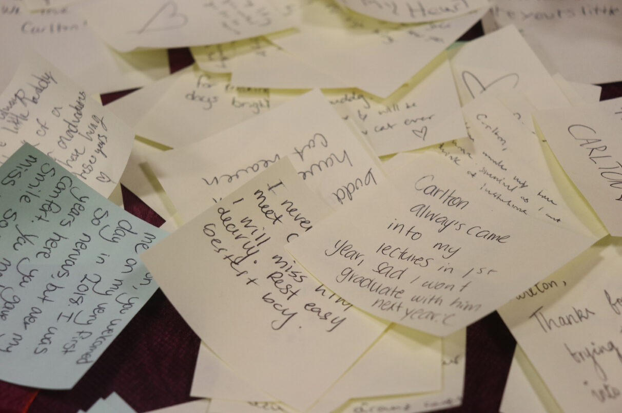 Student notes sharing their favourite memories of Carlton. November 7, 2023