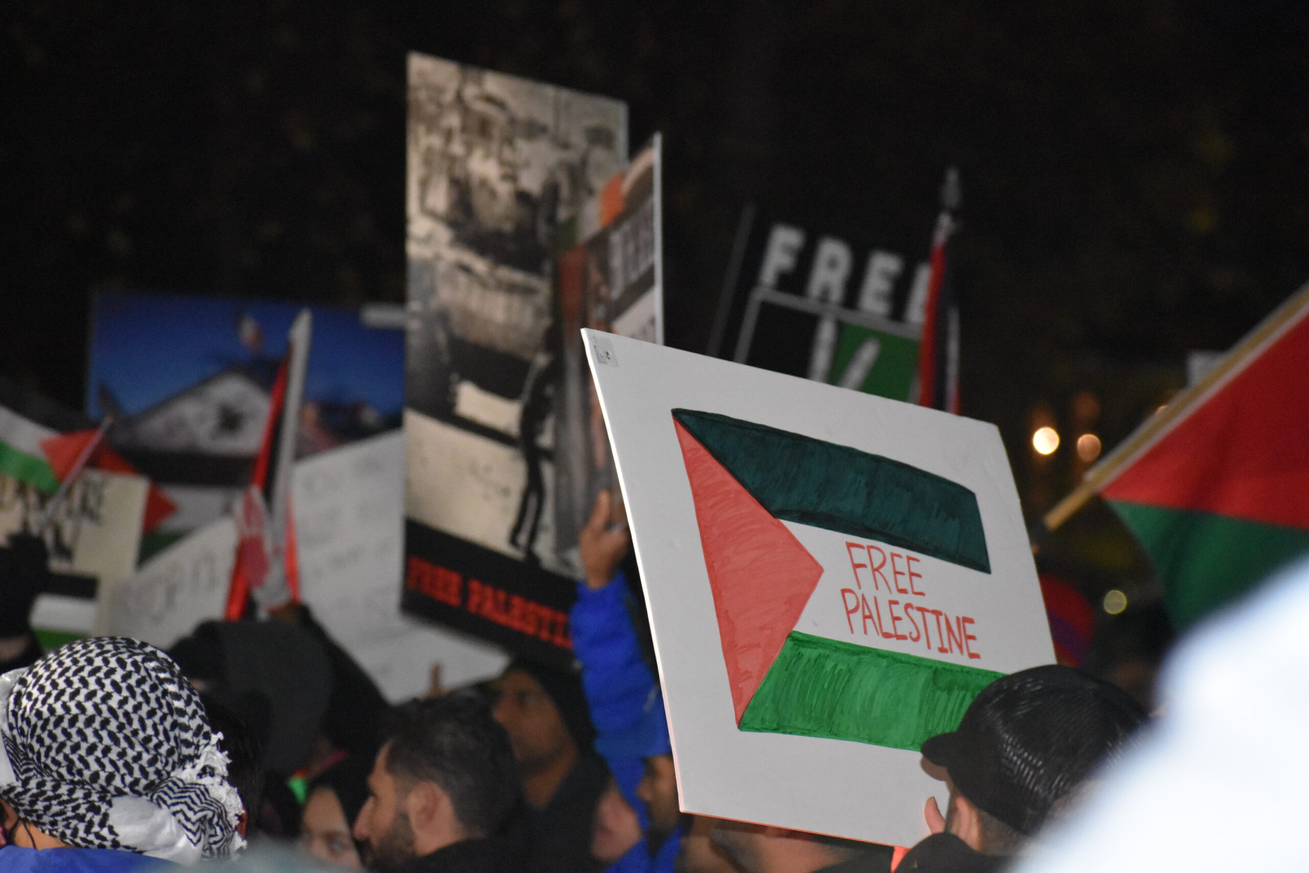A collection of signs in the background, unfocused. A sign reading "Free Palestine" in the foreground.