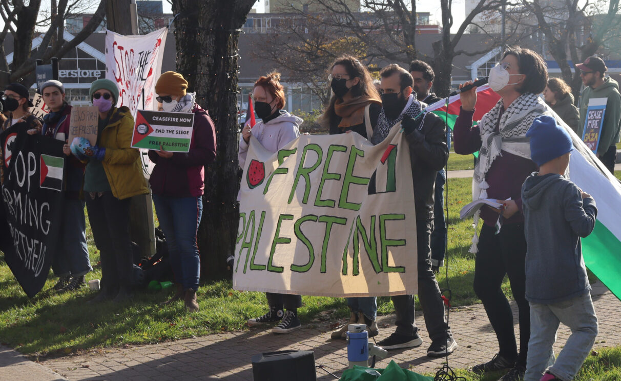 A group of Pro-Palestinina protesters