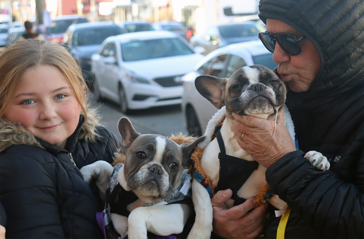 A young girl holds her french bulldog dressed in black and white plaid. A man to her right holds a french bulldog as he kisses his cheek. Drool hangs down the dog's mouth.