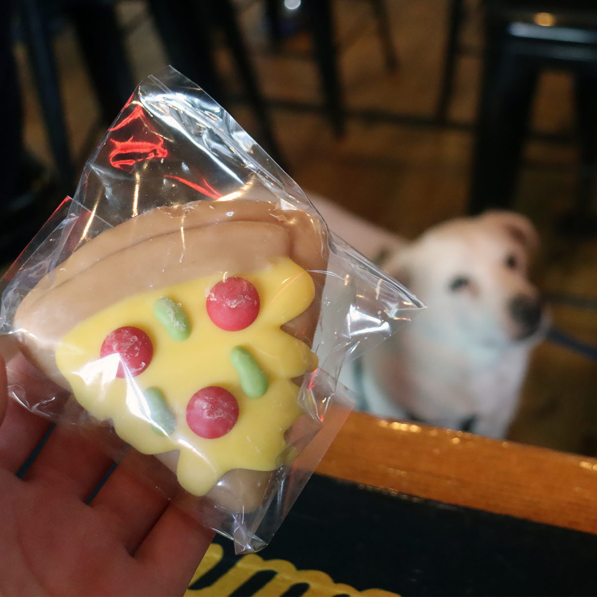 A white dog side eyes a dog treat decorated as a slice of pizza.