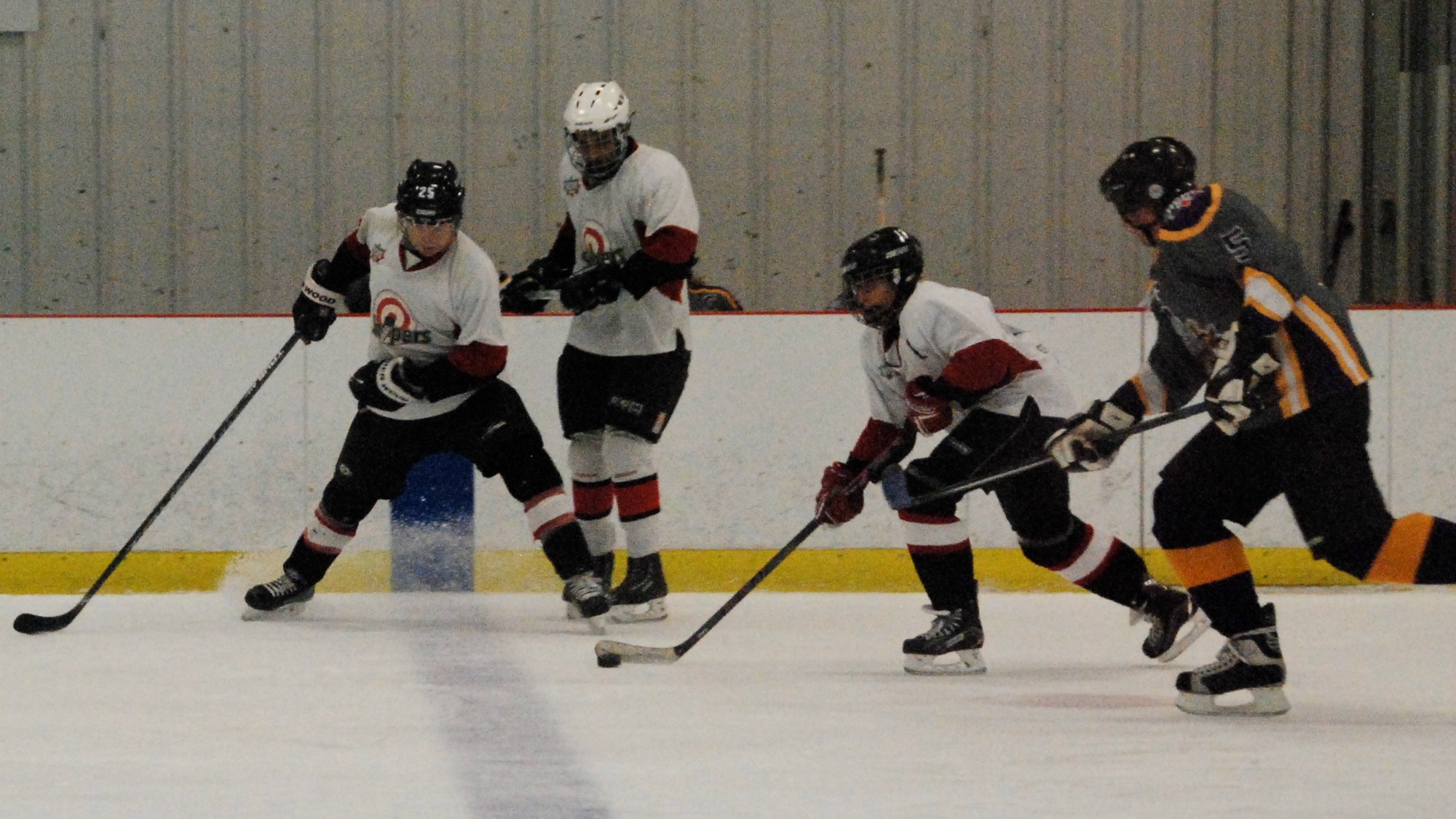 Mixed gender pickup hockey league remains ‘polite and courteous’ The