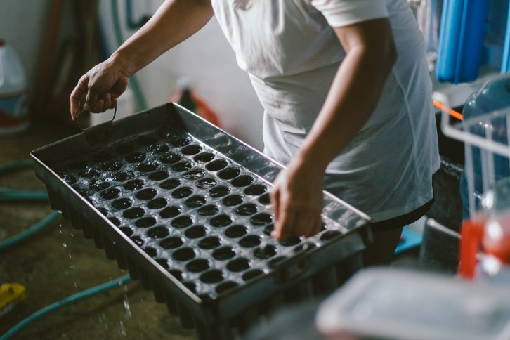Anielyn Dabuan handles a tray of ice moulds filled with distilled water.