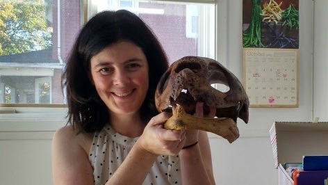 Executive director of the Candian Sea Turtle Network, Kathleen Martin, holds a leatherback sea turtle skull