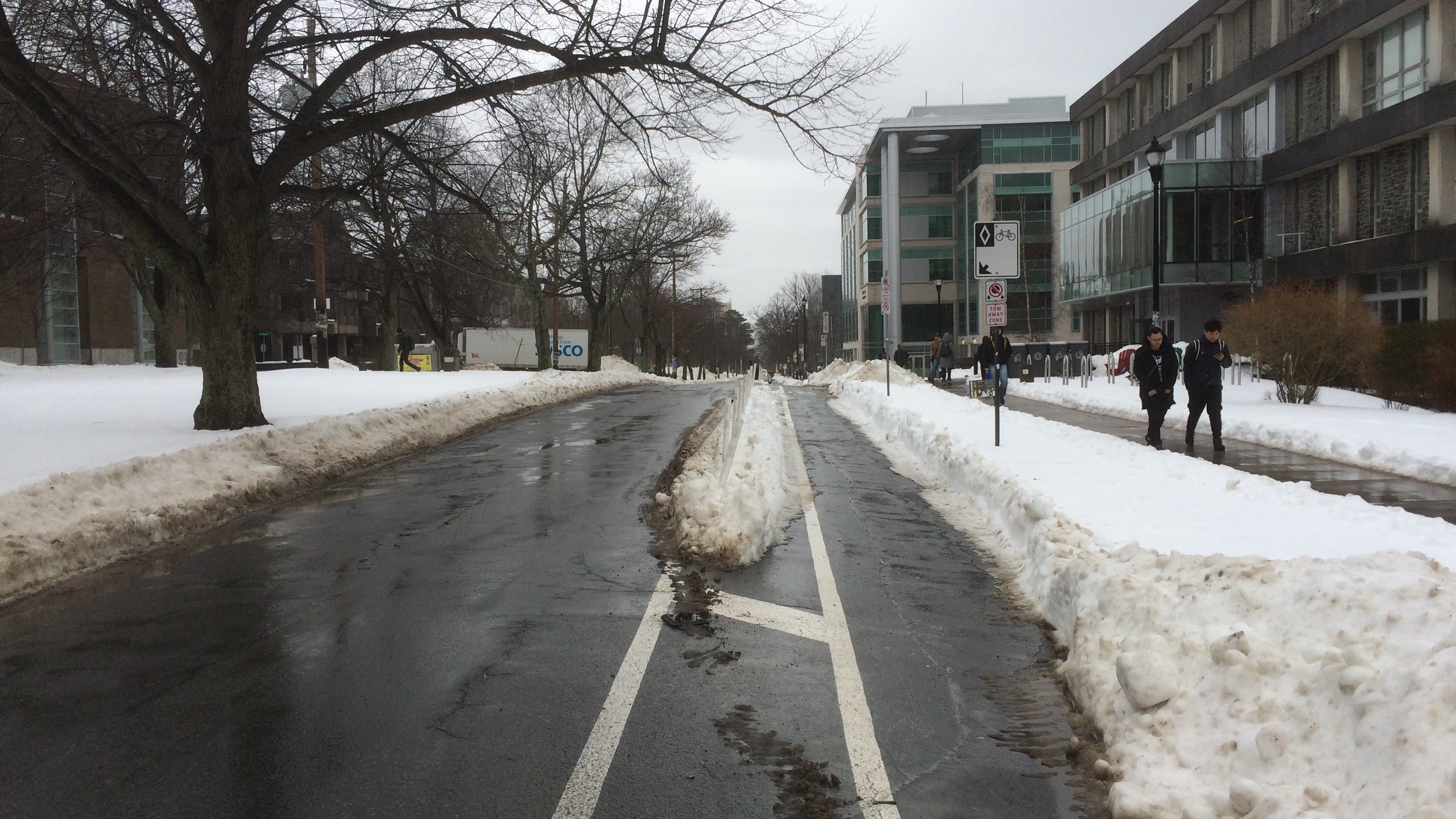 The bike lane on University Avenue is one of only two protected lanes in Halifax. The barriers and widened lines between bicycle and vehicle lanes increase safety. 
