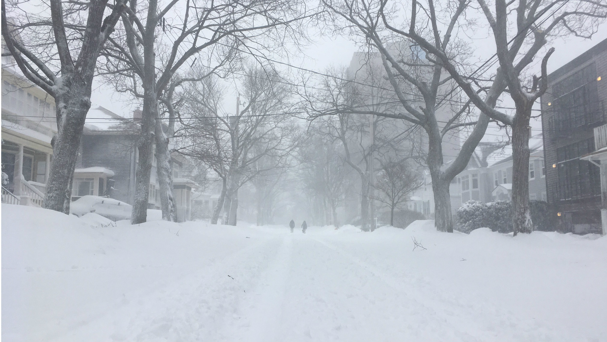 Halifax had 70cm of snow and 100km/h winds, making roads difficult to navigate. 