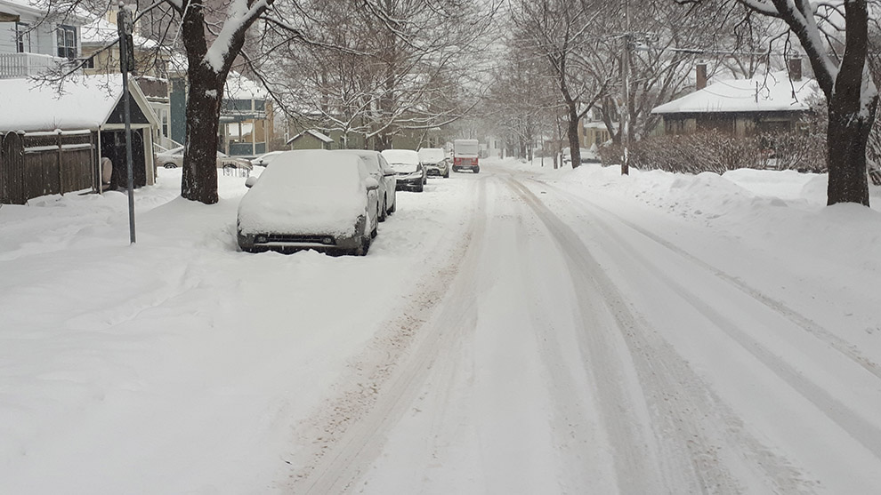 Snow covered cars on a Halifax street. 