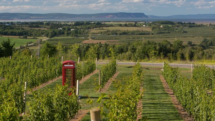 Luckett Vineyards, one of the vineyards located in the Annapolis Valley.