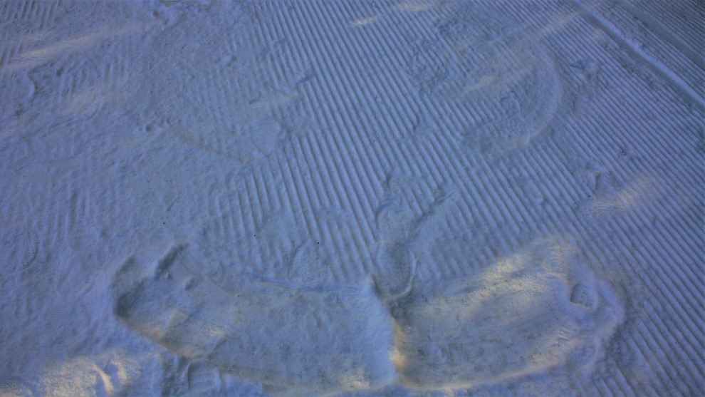 Martock makes 243 snow angels for Canadian Ski Patrol Day The Signal
