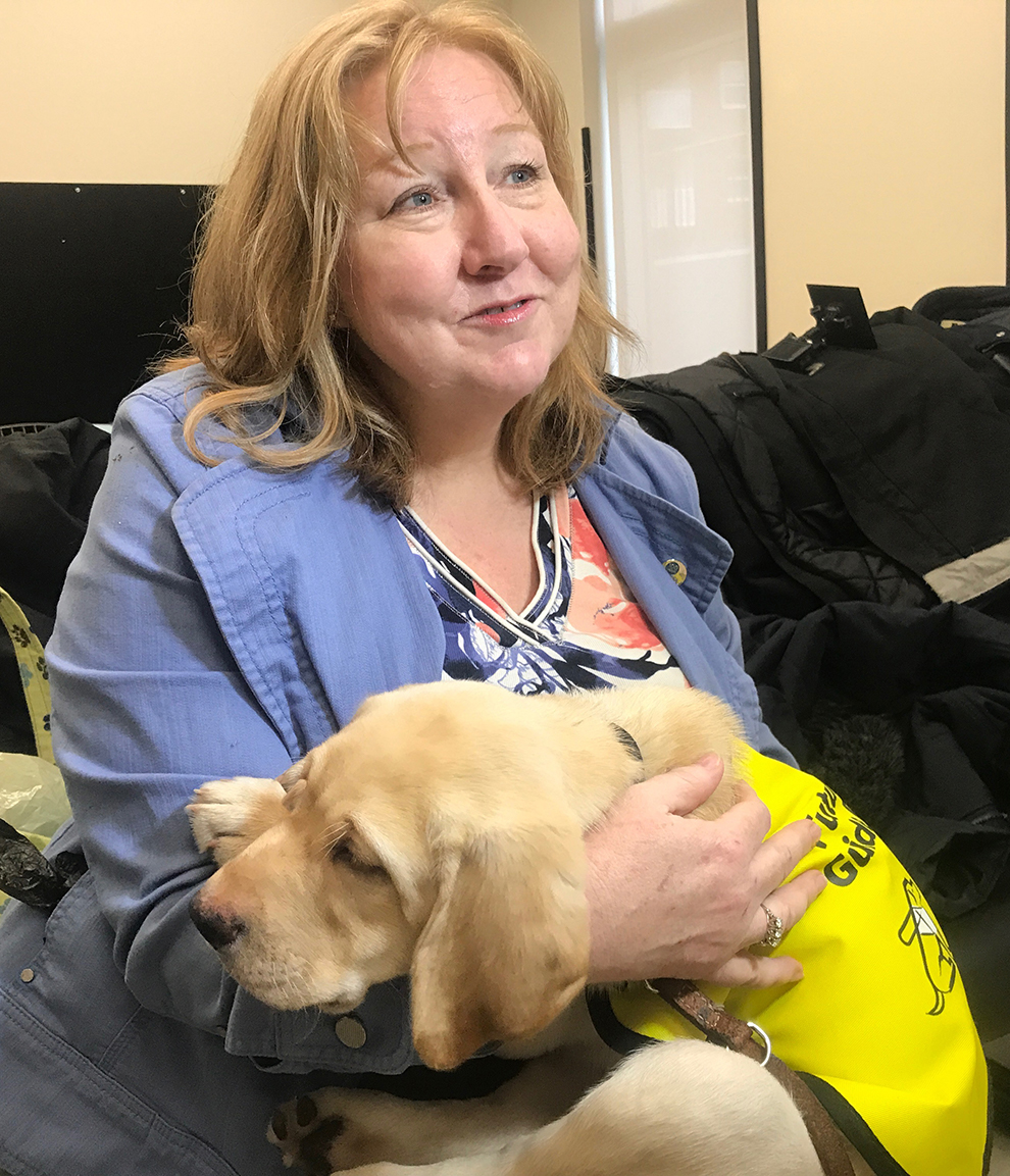 cnib-begins-guide-dog-training-in-halifax-with-four-new-puppies-the