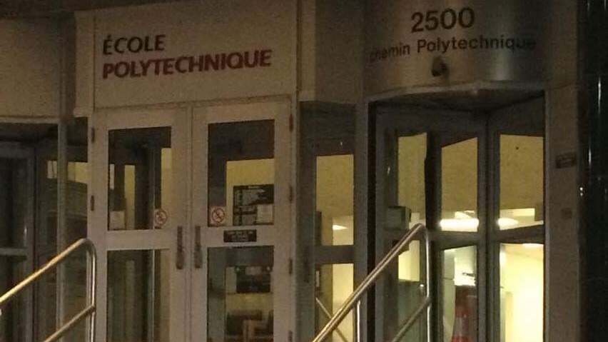 On Dec. 6, 1989, Marc Lépine shot and killed 14 women at Montreal's École Polytechnique.