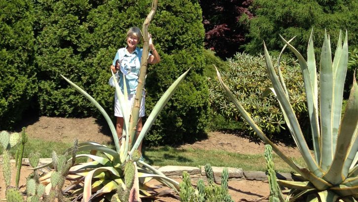 Elise Doane posed with the Halifax agave when it was in bloom in 2018. She believes she may have donated it 30 years ago.
