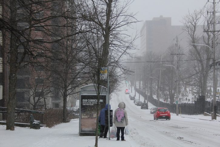 People wait at the bus stop on Robie Street. Some bus routes were on snow plan.