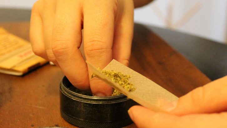 A cannabis user rolls a joint in her Halifax apartment. 