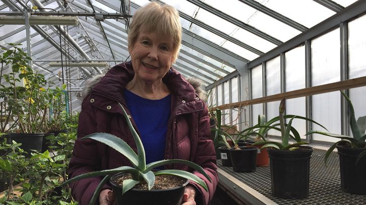 Elise Doane poses with her new agave plant at the greenhouses near the Public Gardens.