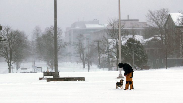 It's quiet at Dalhousie University. The school is closed Wednesday because of a storm.