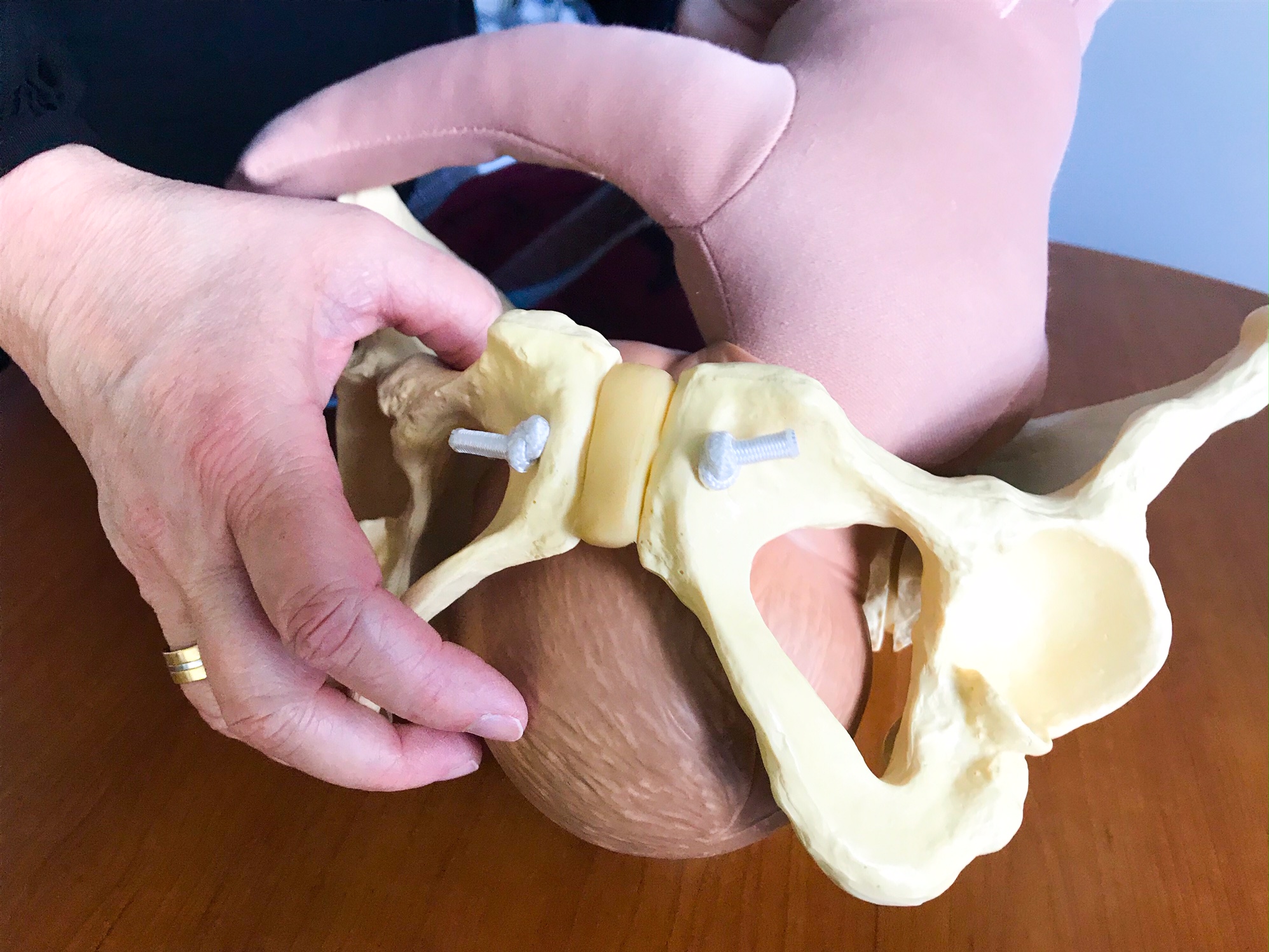 A doll and model pelvis are used to demonstrate the birth process.