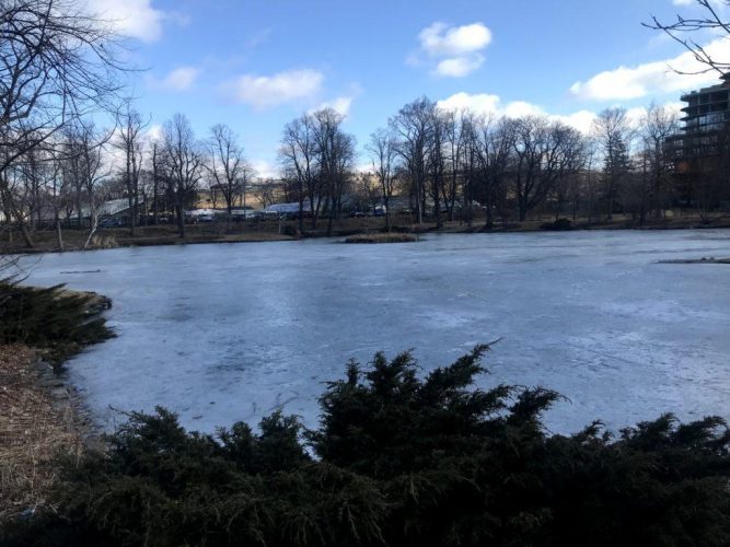 It was still winter on the pond in late March.