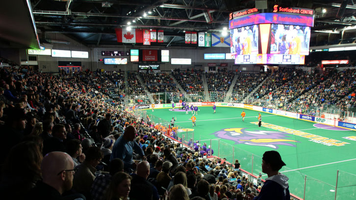 Fans at the Scotiabank Centre watching professional lacrosse debut in Halifax in 2019.