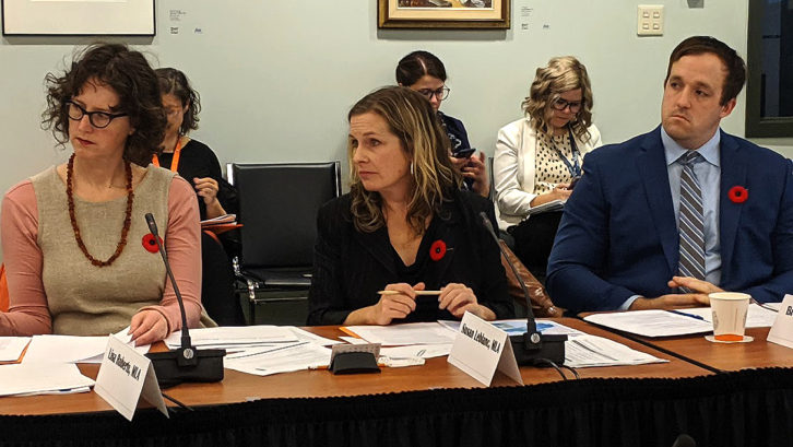 Susan Leblanc (centre) quizzes witnesses at the Standing Committee on Community Services.