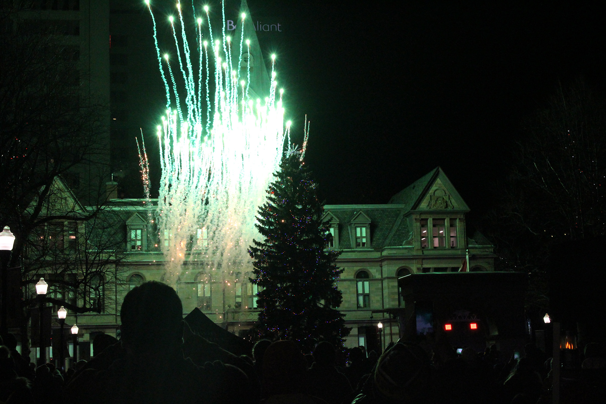 First timers enjoy Halifax Christmas tree lighting The Signal