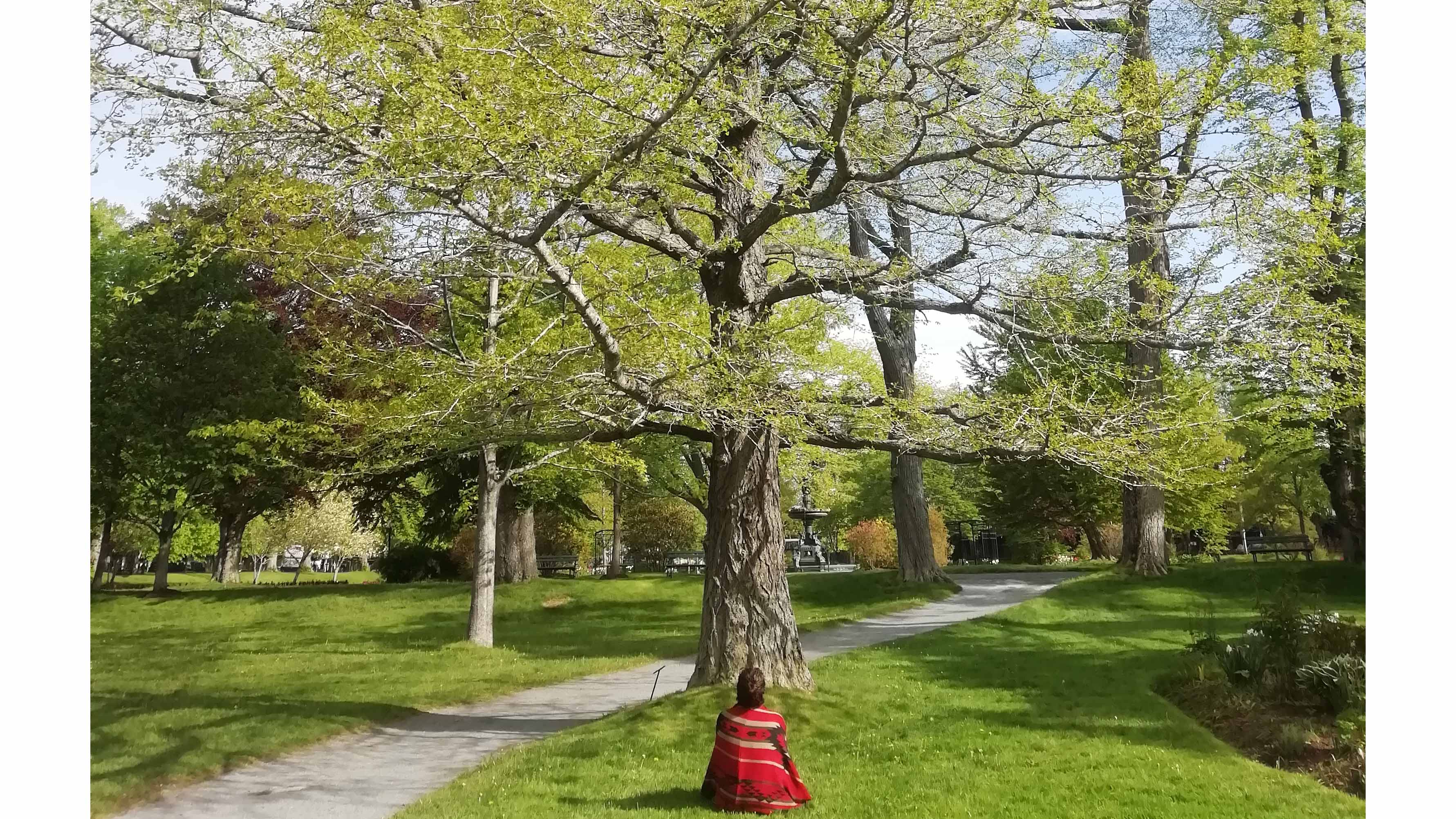Julietta Sorensen Kass, sits in front of a tree named Ichiro- The Ginkgo.