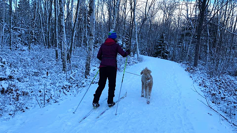 The Halifax Nordic Ski club offers access to six parks across the municipality. Lorenzo Caterini hopes the grass trail at Oakfield will lead to a longer season.
