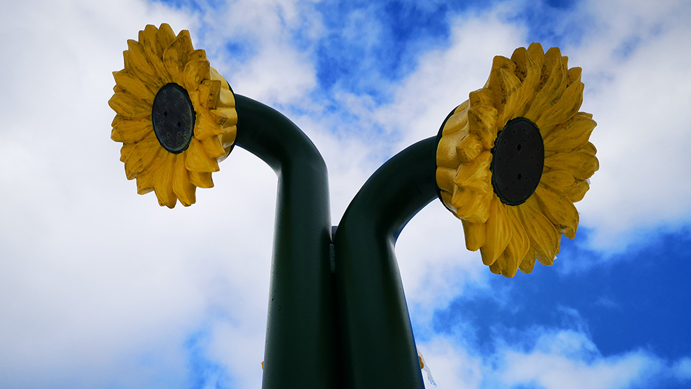 These sunflower sprinklers are part of a splash pad at Westmount Elementary School in Halifax. 