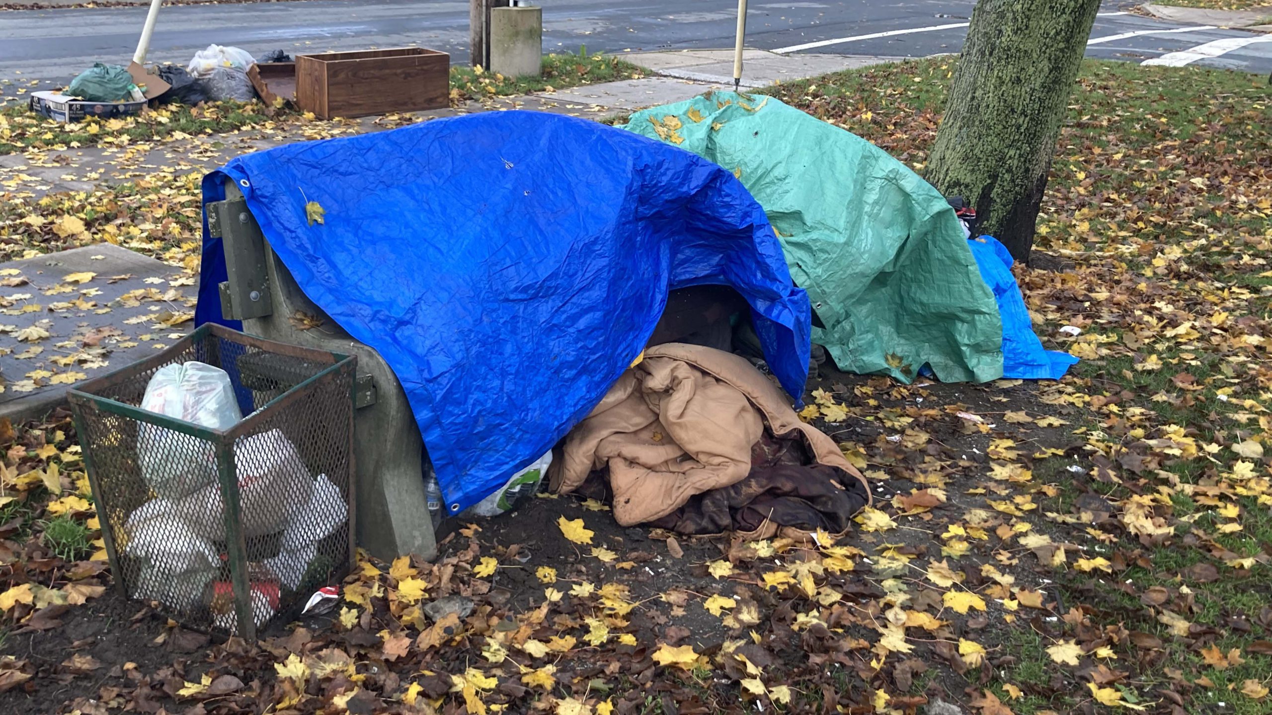A report says 492 people are experiencing homelessness in HRM.