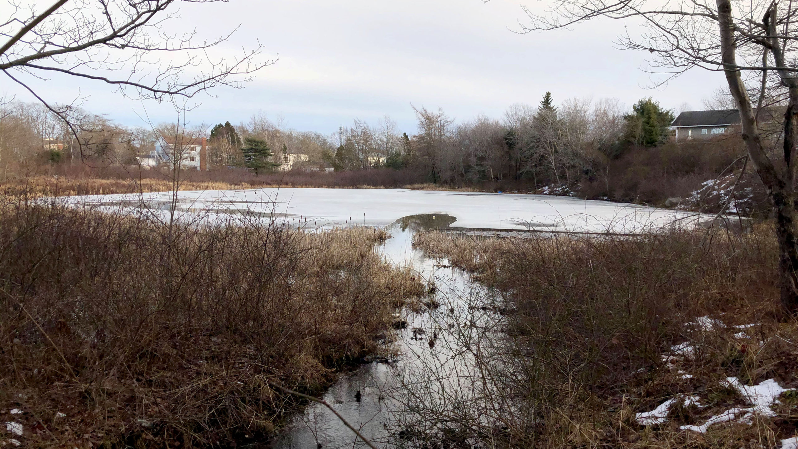 Catamaran Pond is small, but the Spryfield Defenders say development would have a big effect on the watershed.