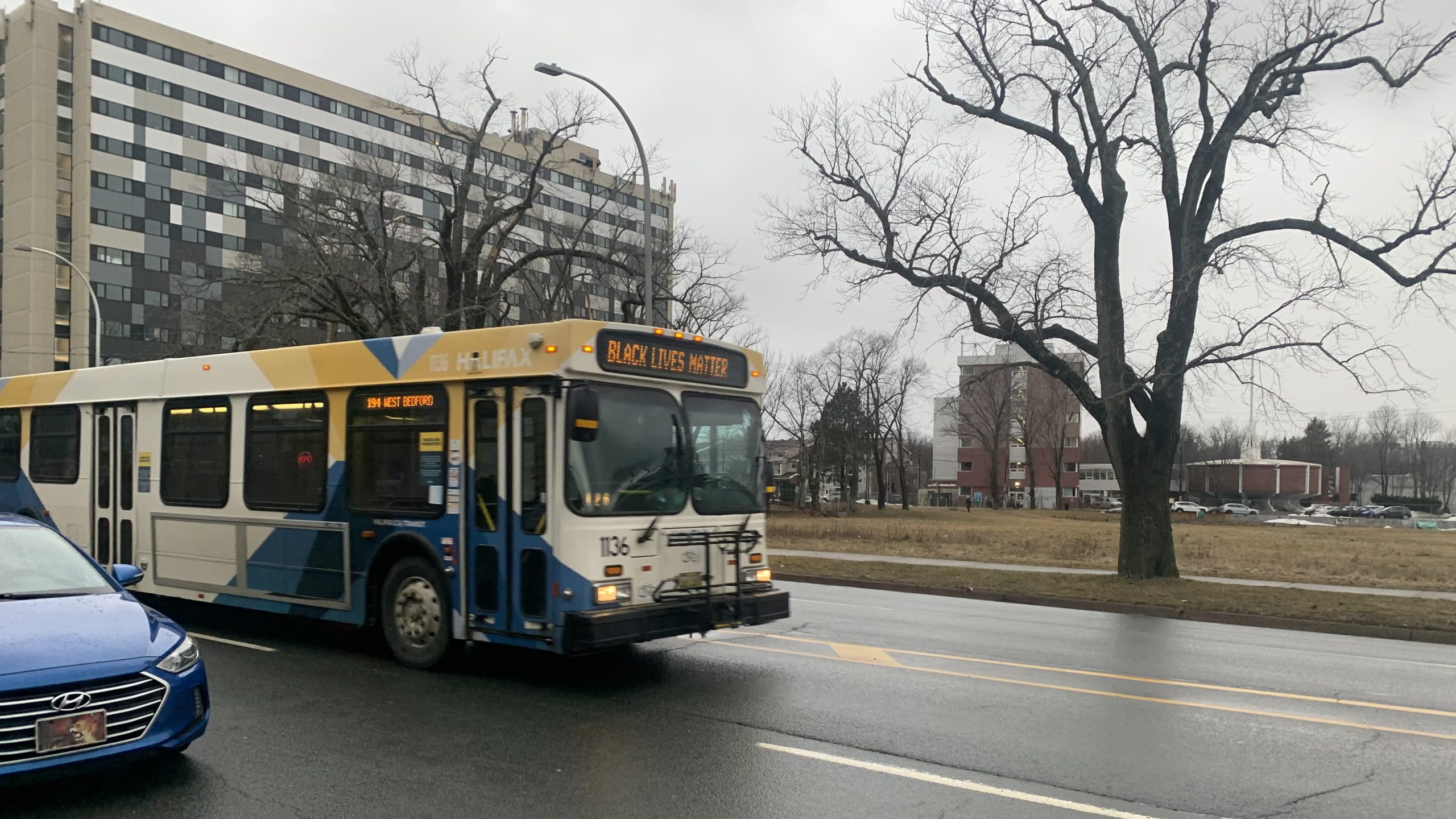 A Halifax Transit bus on Feb. 4. 