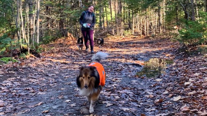 Jennifer Penney and her dogs at Sandy Lake Park on Nov. 7, 2021