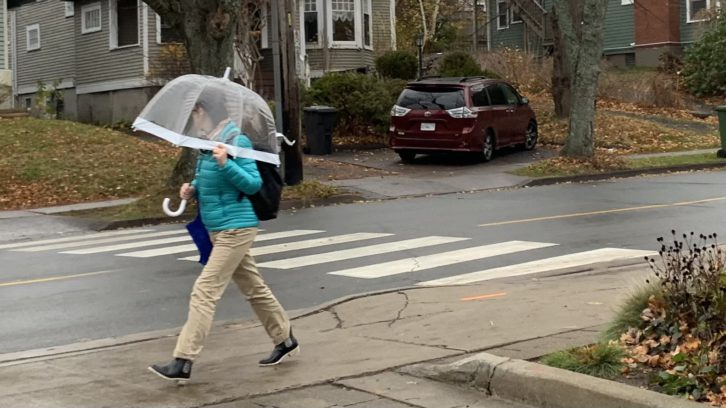 A pedestrian walks with umbrella on Coburg Road on Nov. 22, 2021.