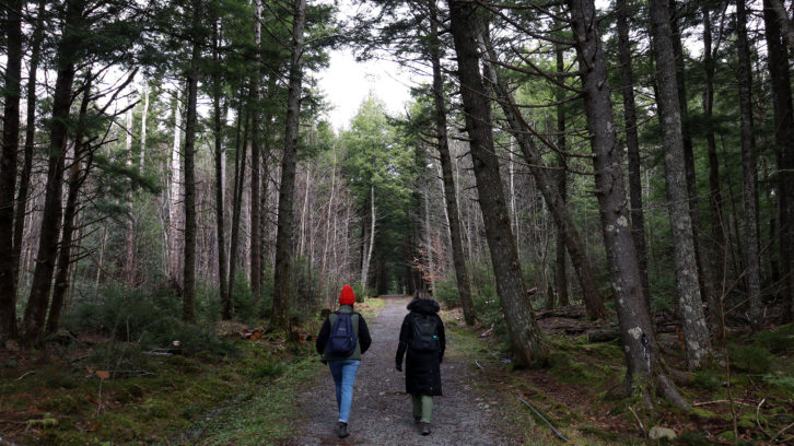 A pair of hikers walk through one of Nova Scotia’s old-growth forests at Oakfield Provincial Park.