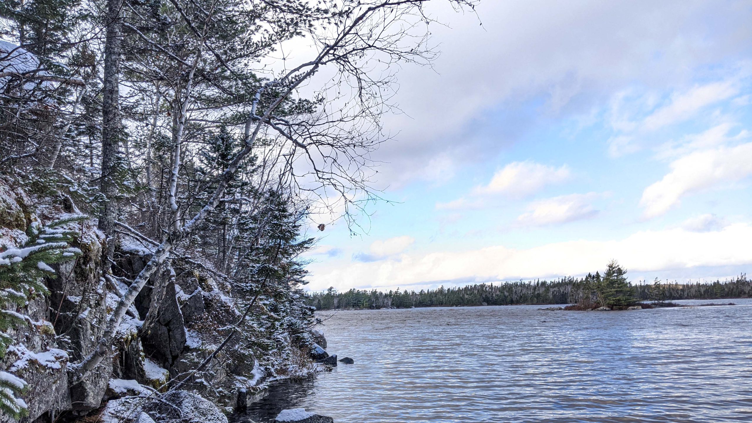 A row of trees, bushes, and rocks covered with a light layer of snow juts out into a lake from the left.