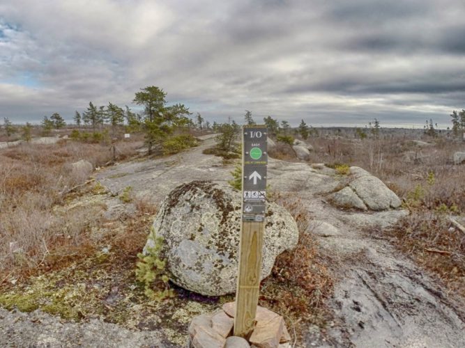 A trail marker, with an easy trail rating, directs the hiker forward and stands in the foreground, as the rugged trail continues over granite boulders. There are trees and shrubs in the background. 