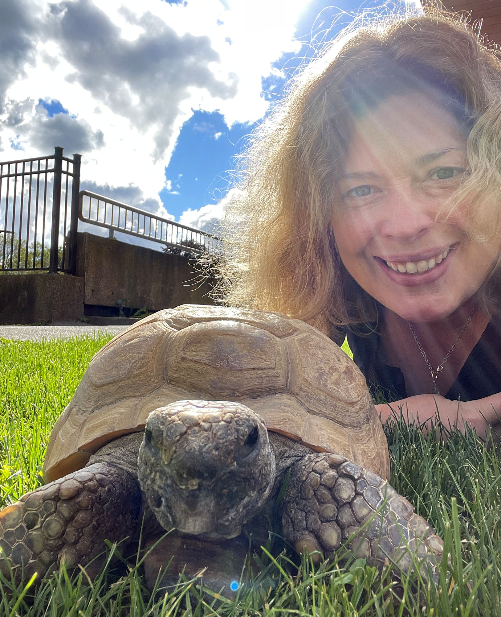 Heather McKinnon Ramshaw poses with Gus, the oldest recorded gopher tortoise in captivity, at the Nova Scotia Museum of Natural History. McKinnon has been an animal care co-ordinator at the museum for 14 years.