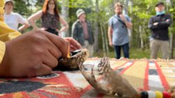 Students learn the significance of smudging to Mi'kmaq.